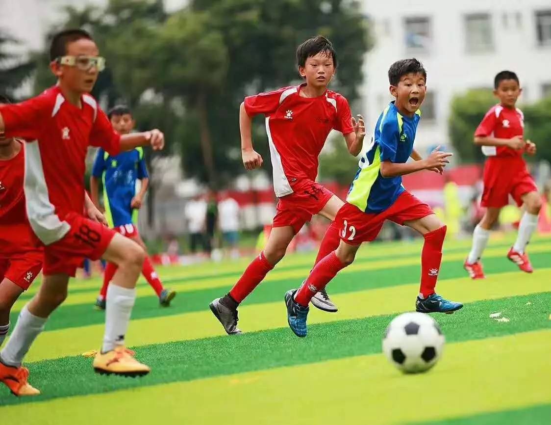 靠世界杯“一炮而红”的央视女主播 - 视点聚焦 - 福建妇联新闻