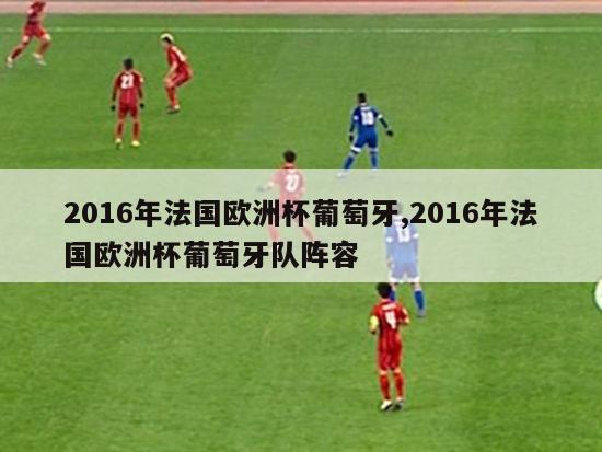 2016年法国欧洲杯葡萄牙,2016年法国欧洲杯葡萄牙队阵容